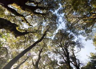 Natural Environment